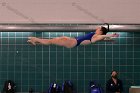 Women's Diving  Wheaton College Women’s Diving vs Mount Holyoke College. - Photo by Keith Nordstrom : Wheaton, Swimming & Diving